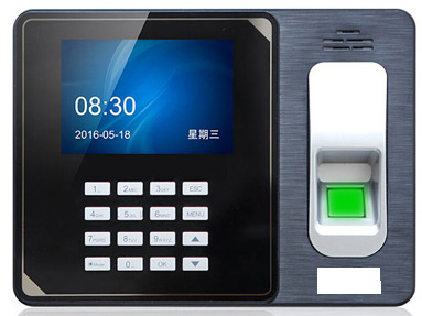 开云体育娱乐产品展示七